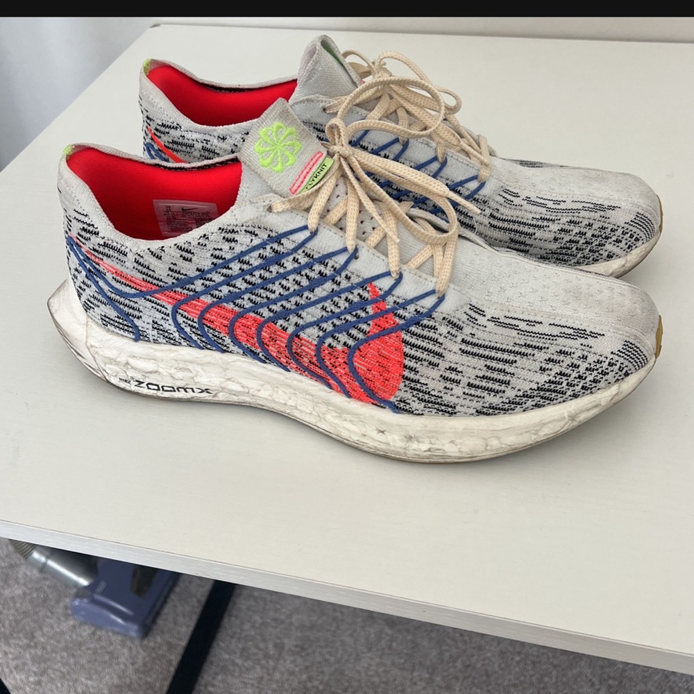 Nike Zoom Pegasus